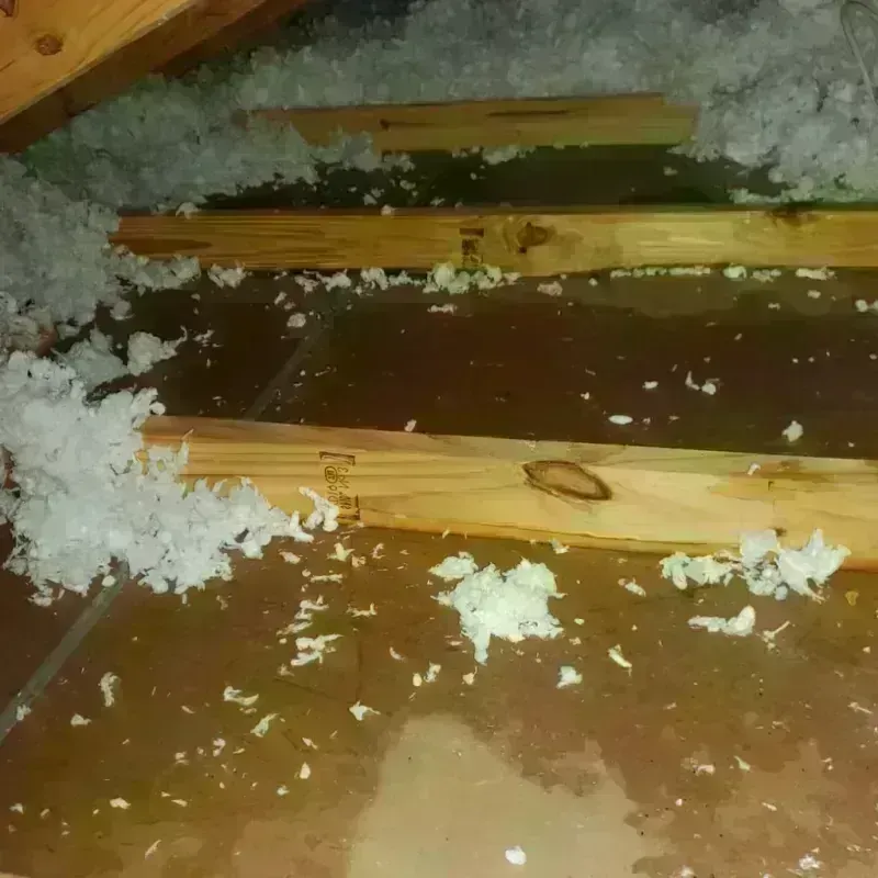 Attic Water Damage in Marshall County, WV